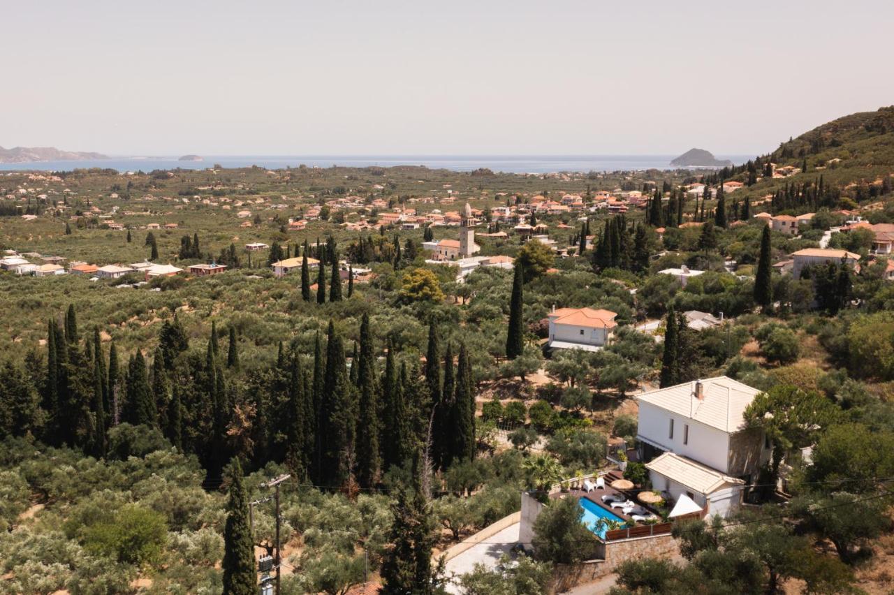 Ark Luxury & Private Villa Mouzakion  Exterior photo